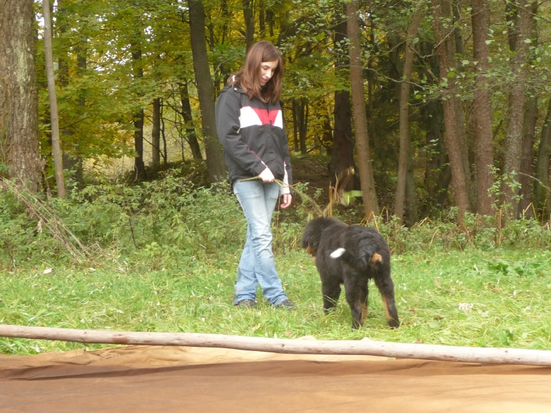 Tina a Elixr