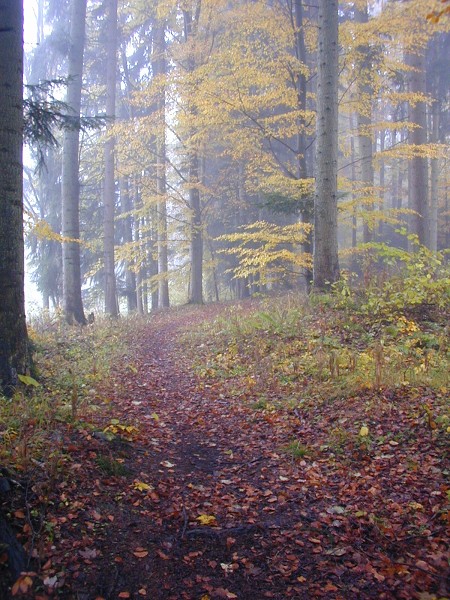 Podzimní táboření  (21.-30.10.)
