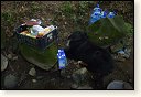 Indy se nakonec přesunul do ráje - k potoku (a jídlu)